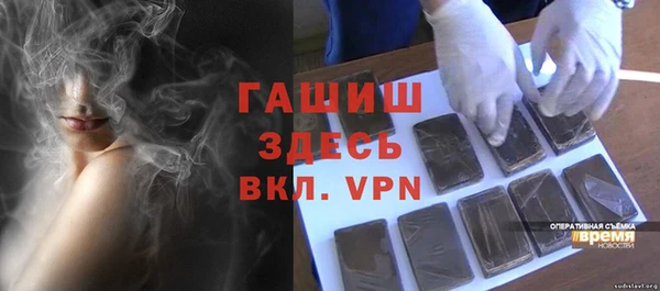 индика Весьегонск