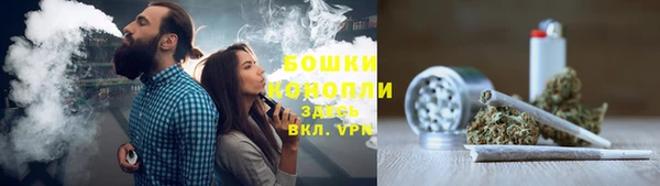индика Весьегонск