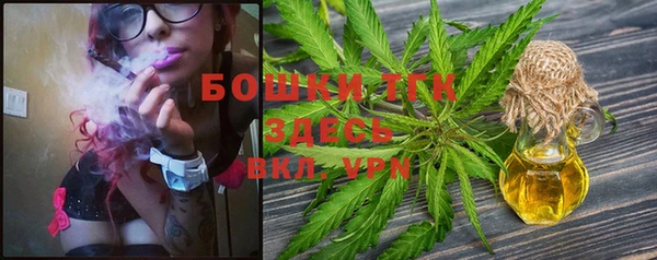 тгк Ветлуга