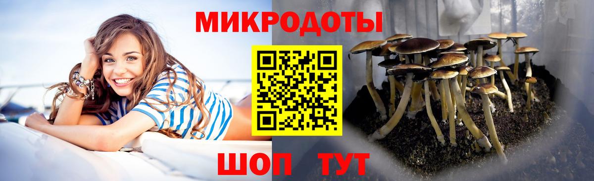 Ртищево  Галлюциногенные грибы Psilocybe  Галлюциногенные грибы MAGIC MUSHROOMS  Вход с VPN 